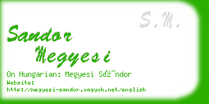 sandor megyesi business card